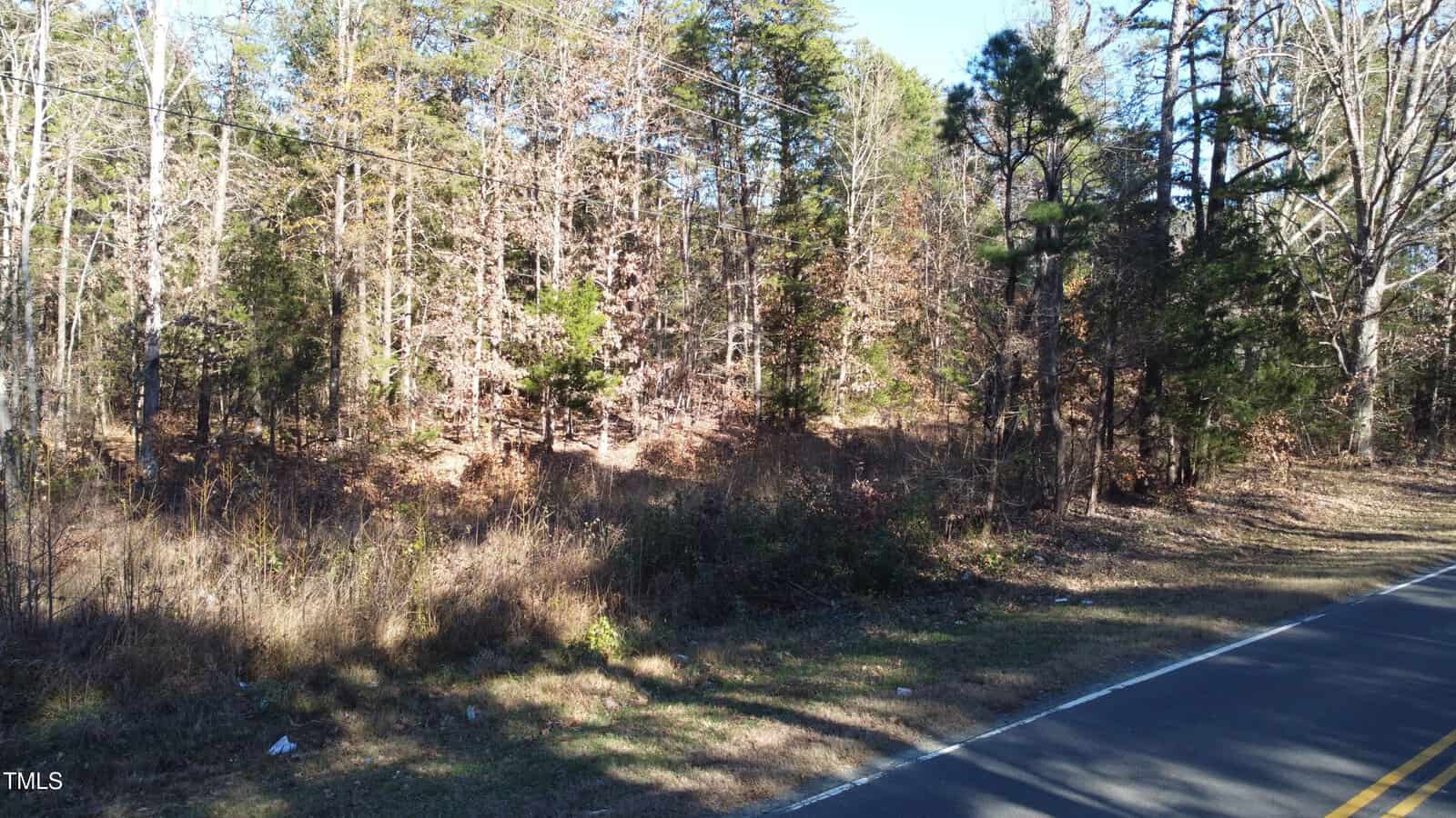A rural road lined with trees and bushes on a clear day. The left side shows a dense forest area with a mix of evergreen and leafless trees. The road is narrow with a painted yellow centerline and the sky is visible above the treetops.