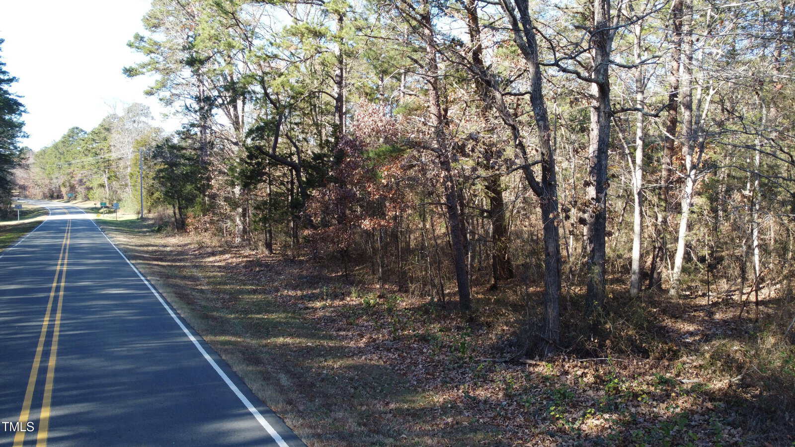 A rural road bordered by a forest with tall, leafless trees on the right side. The road has double yellow lines and curves gently to the left. Sparse grass and fallen leaves are visible along the roadside and forest floor.