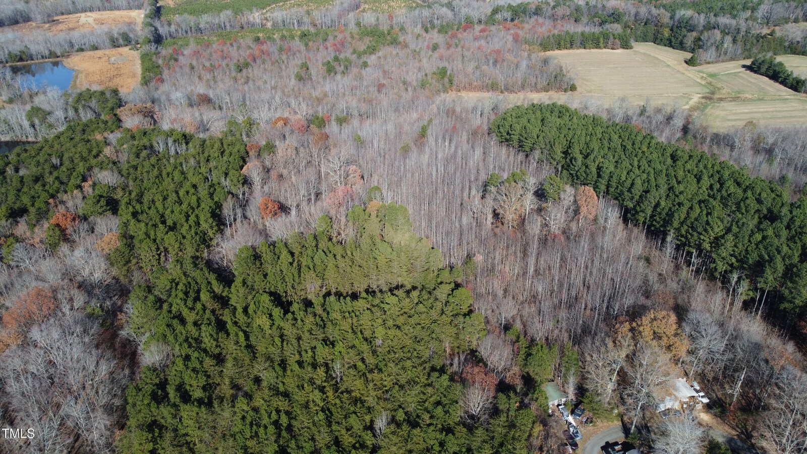 Aerial view of a landscape featuring dense forests with a mix of evergreen and deciduous trees. There are small clearings and a pond visible in the distance. The scene includes muted colors of autumn foliage and fields.