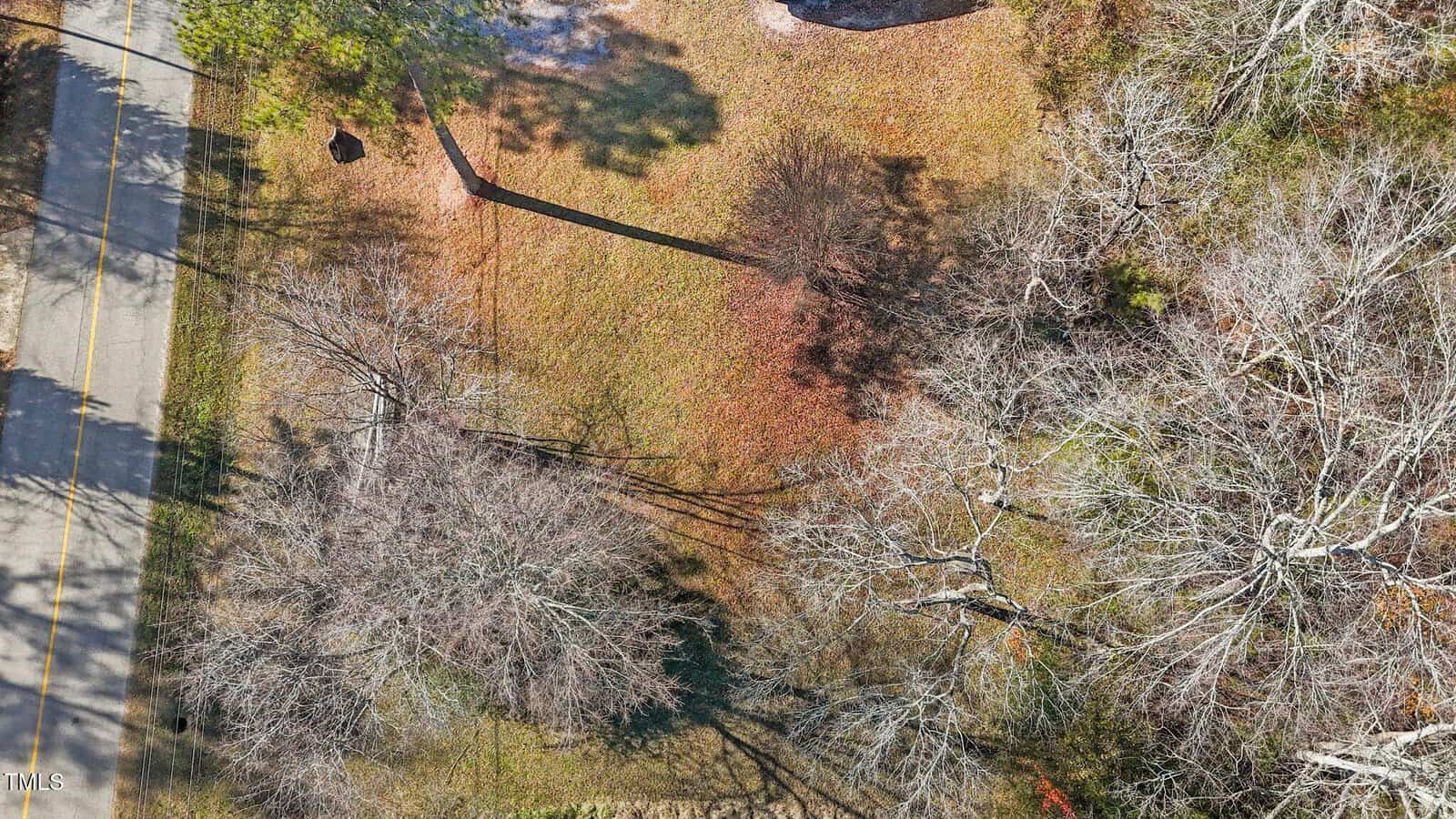 Aerial view of a tree-lined roadside with bare trees casting long shadows on brown grass. The road runs vertically along the left side of the image. Sparse foliage and winter scenery are visible.