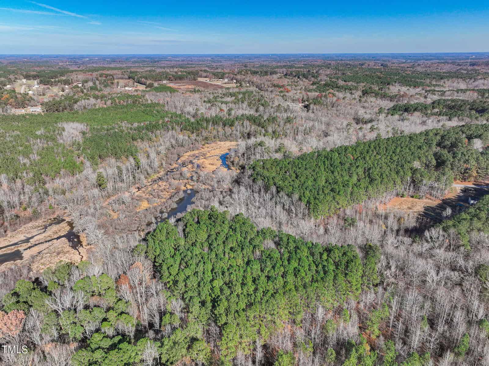 Aerial view of a large, wooded landscape with dense green pine trees, leafless deciduous trees, a winding creek or wetland area, and open fields extending toward the horizon under a clear blue sky.