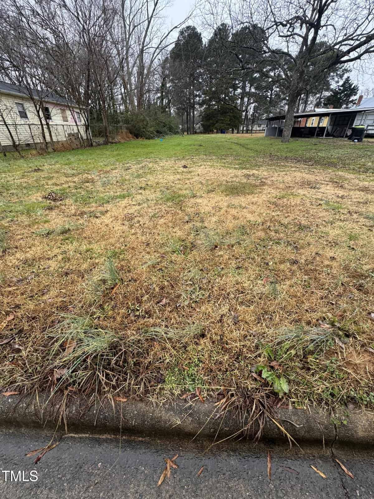 A patch of grass next to a street curb, with a few small weeds scattered throughout. In the background, there are bare trees and a house with a driveway. The sky is overcast.