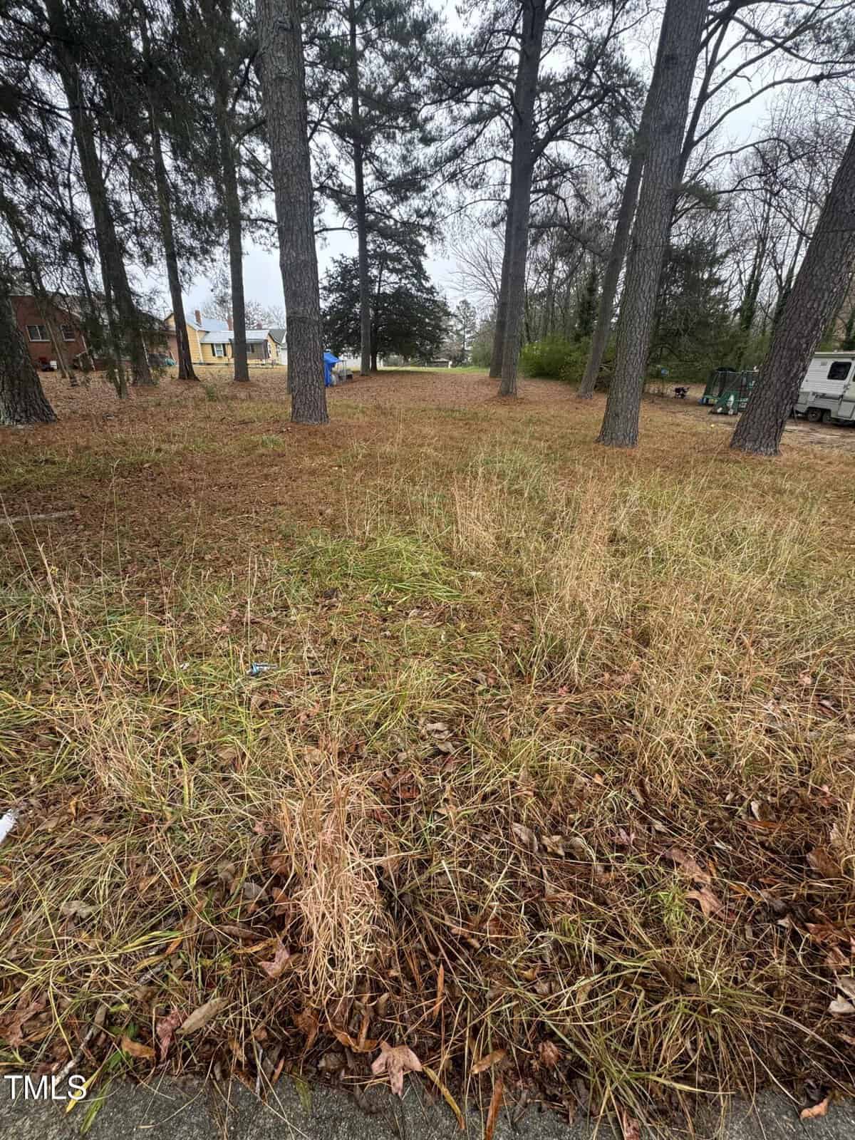 A grassy, open area is surrounded by tall trees. In the background, buildings and a small vehicle are visible. The sky is overcast, and the ground is covered with dry grass and leaves.