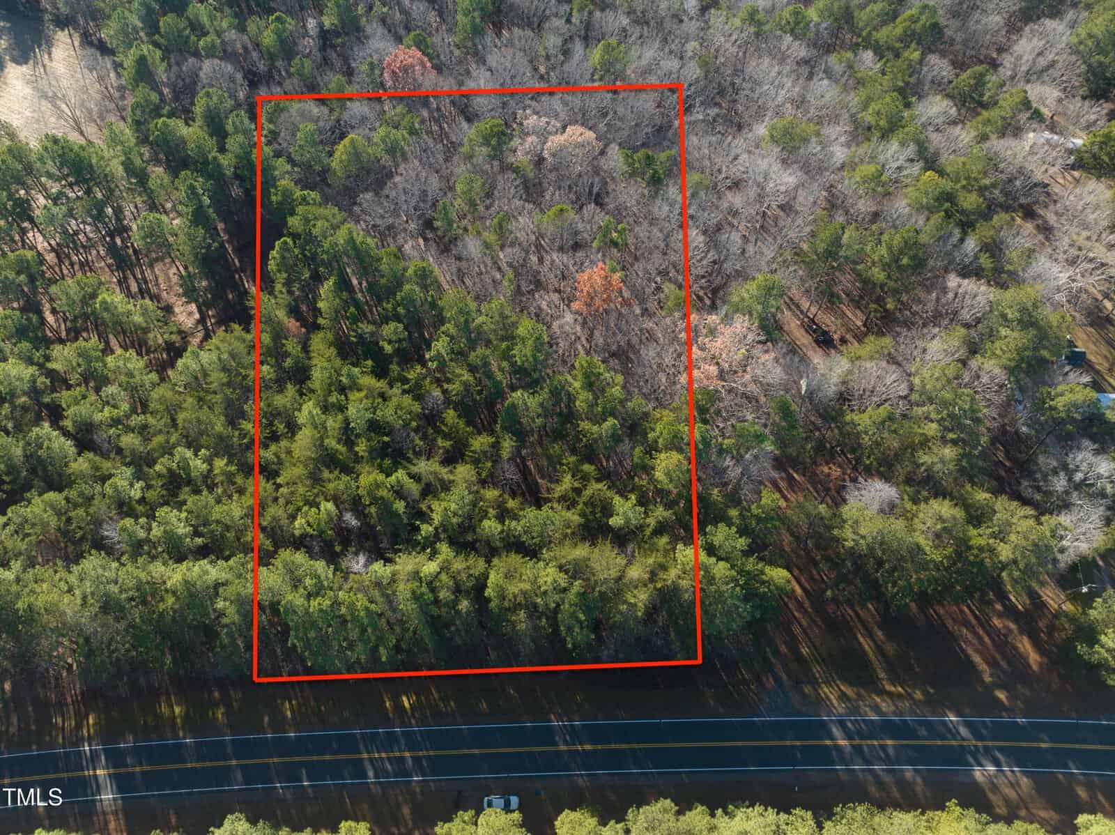 Aerial view of a dense forest near Oxford with a rectangular area outlined in red. The section, marked by its mix of green and brown treetops, lies adjacent to Highway 0 Nc-96 running along the bottom edge of the image.