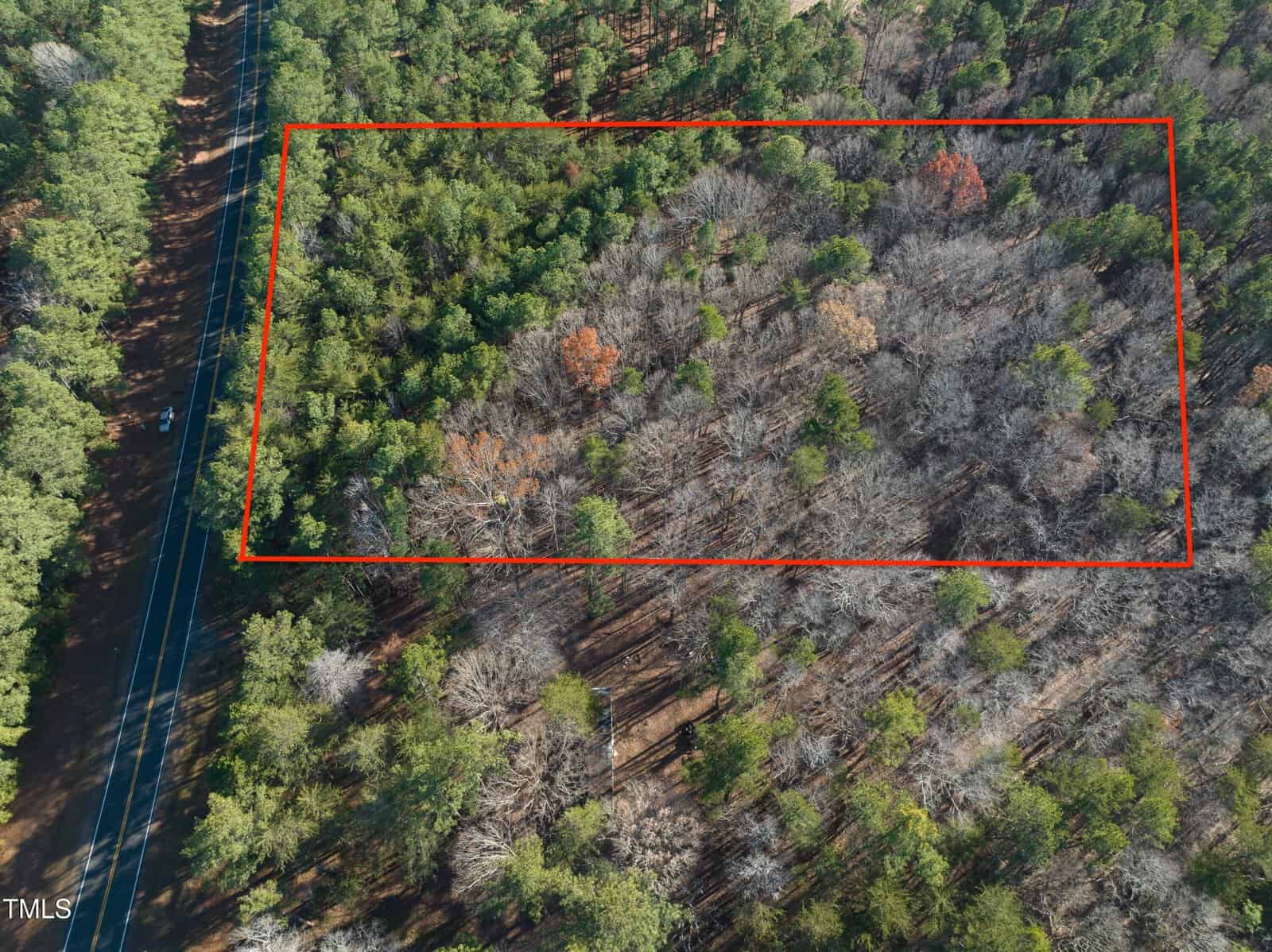 Aerial view of a forested area divided by a red rectangle. The section within the rectangle shows varied tree densities, with some trees appearing leafless. A road borders the left side of the forest.