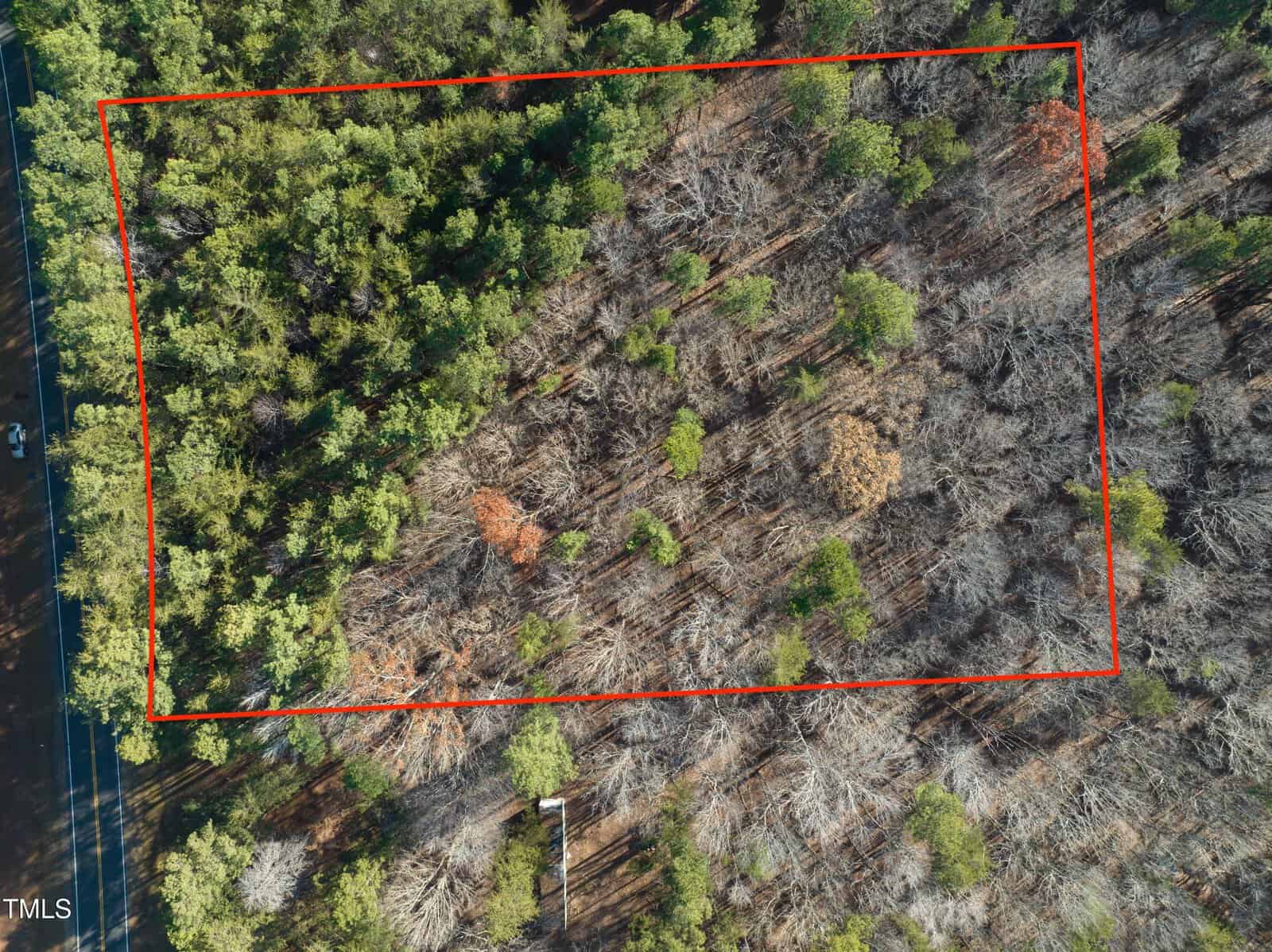 Aerial view of a rectangular plot of land outlined in red within a forested area. The plot contains both dense and sparse tree coverage with visible undergrowth. A road is partially visible on the left edge of the image.
