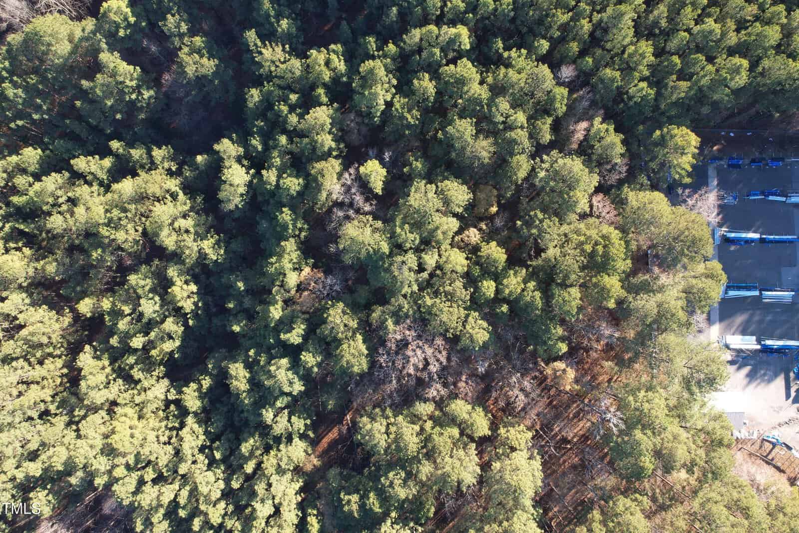Aerial view of a dense forest with green tree tops. To the right, a clearing contains several blue industrial containers and vehicles parked on a paved area. The scene displays a contrast between lush nature and human activity.