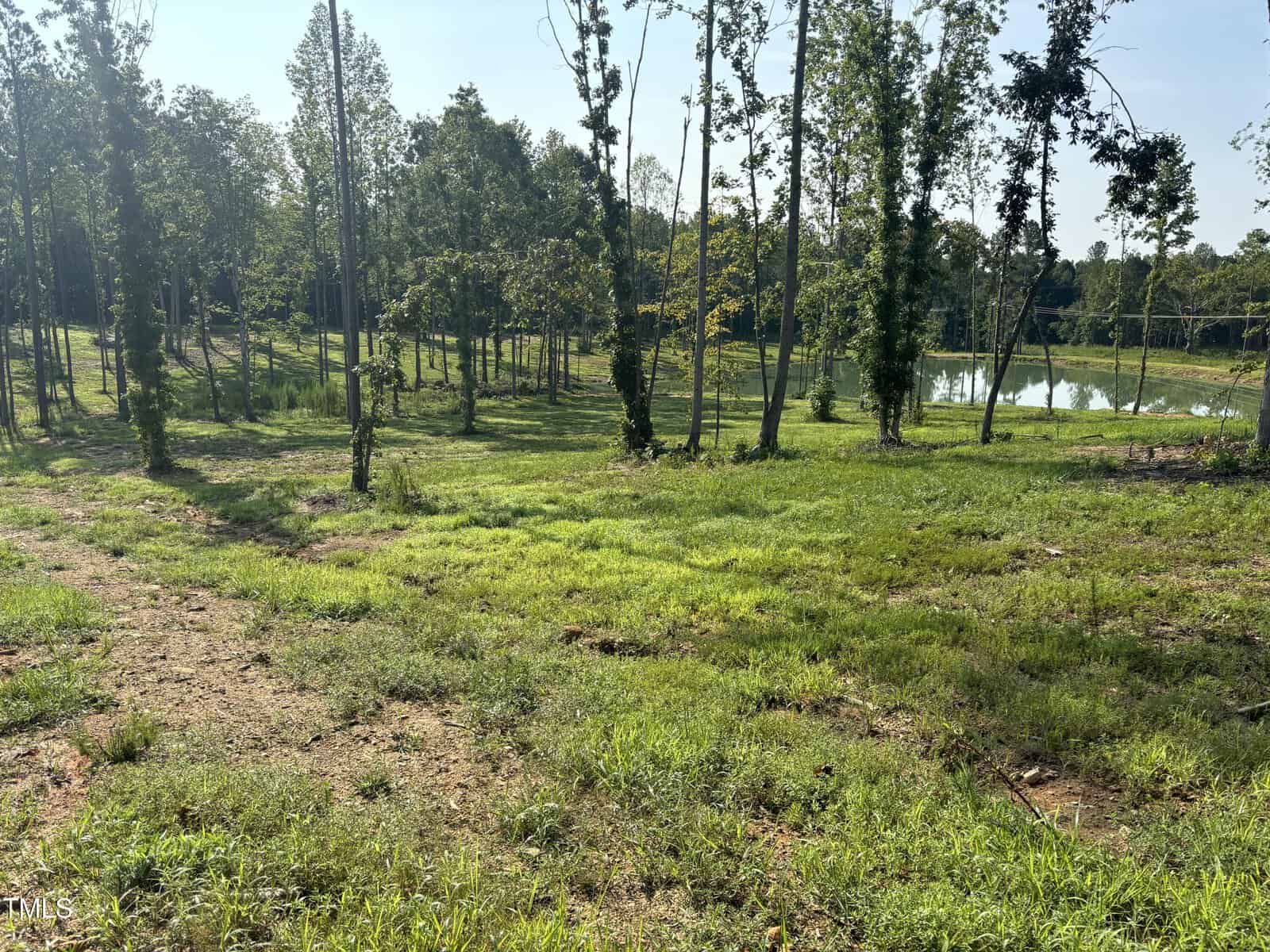 A serene landscape near Fish Stallings Lane in Henderson features a grassy area with scattered young trees, leading to a small pond. Sunlight filters through the branches, creating a peaceful natural scene.