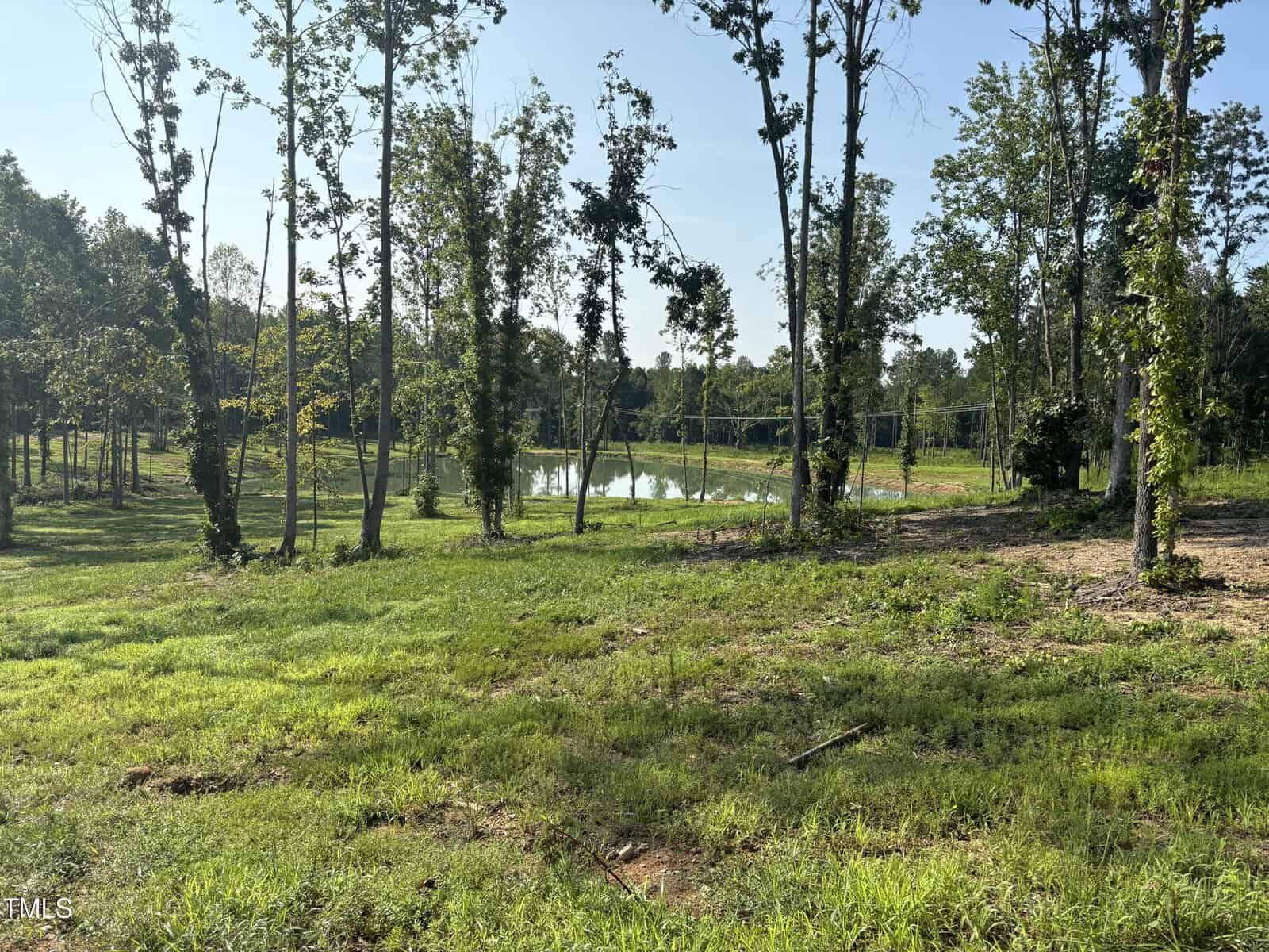 A serene landscape featuring a small pond surrounded by trees and a grassy field under a clear blue sky. The sun casts gentle shadows on the ground, creating a peaceful and natural scene.