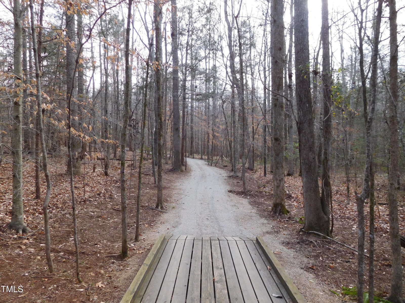 A narrow dirt path winds through a leafless forest in winter. The path is flanked by tall, thin trees with sparse branches. The foreground features a small wooden footbridge, while the ground is covered with fallen leaves and dry foliage.