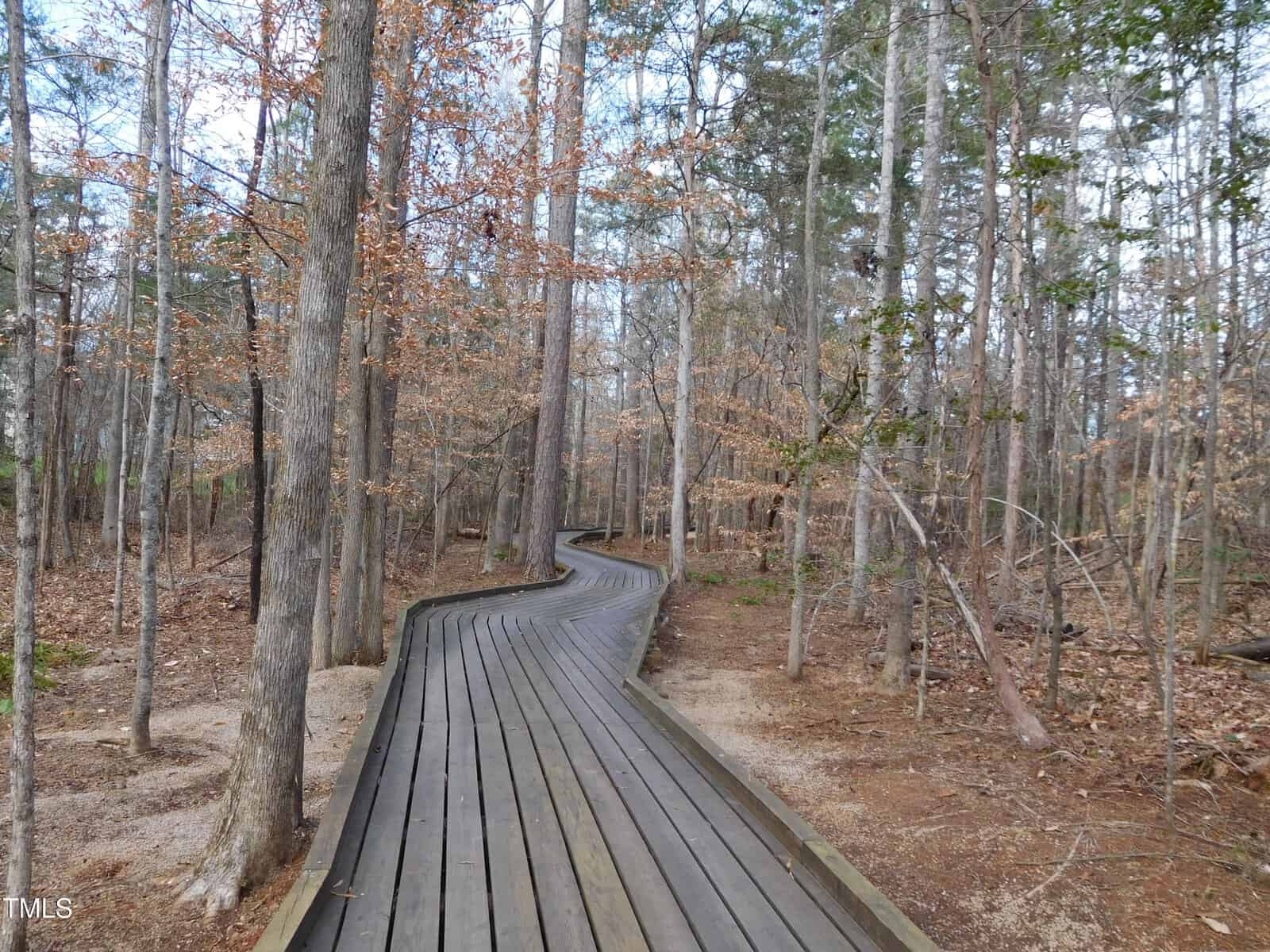 Wooden boardwalk winding through a forest with tall trees. Some trees have brown leaves, suggesting late autumn. The path is bordered by dry ground and fallen leaves, under an overcast sky.