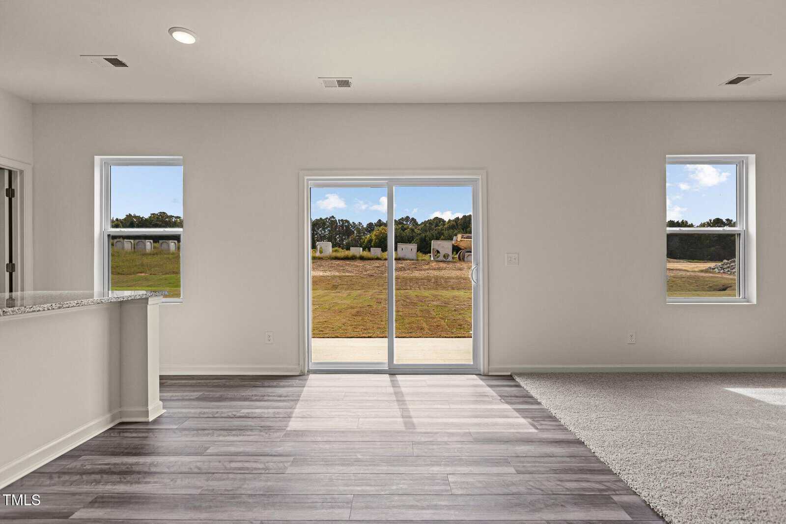 A bright room with light gray vinyl plank flooring, beige carpet on the right, two windows, a sliding glass door leading outside, and a partial view of a granite countertop on the left.