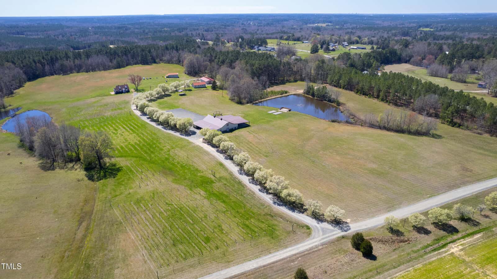 Aerial view of a rural landscape featuring a winding dirt road lined with blooming trees. Surrounding fields are green, and there are two ponds visible. Several buildings, including a large barn, are scattered across the property. Dense forest borders the area.