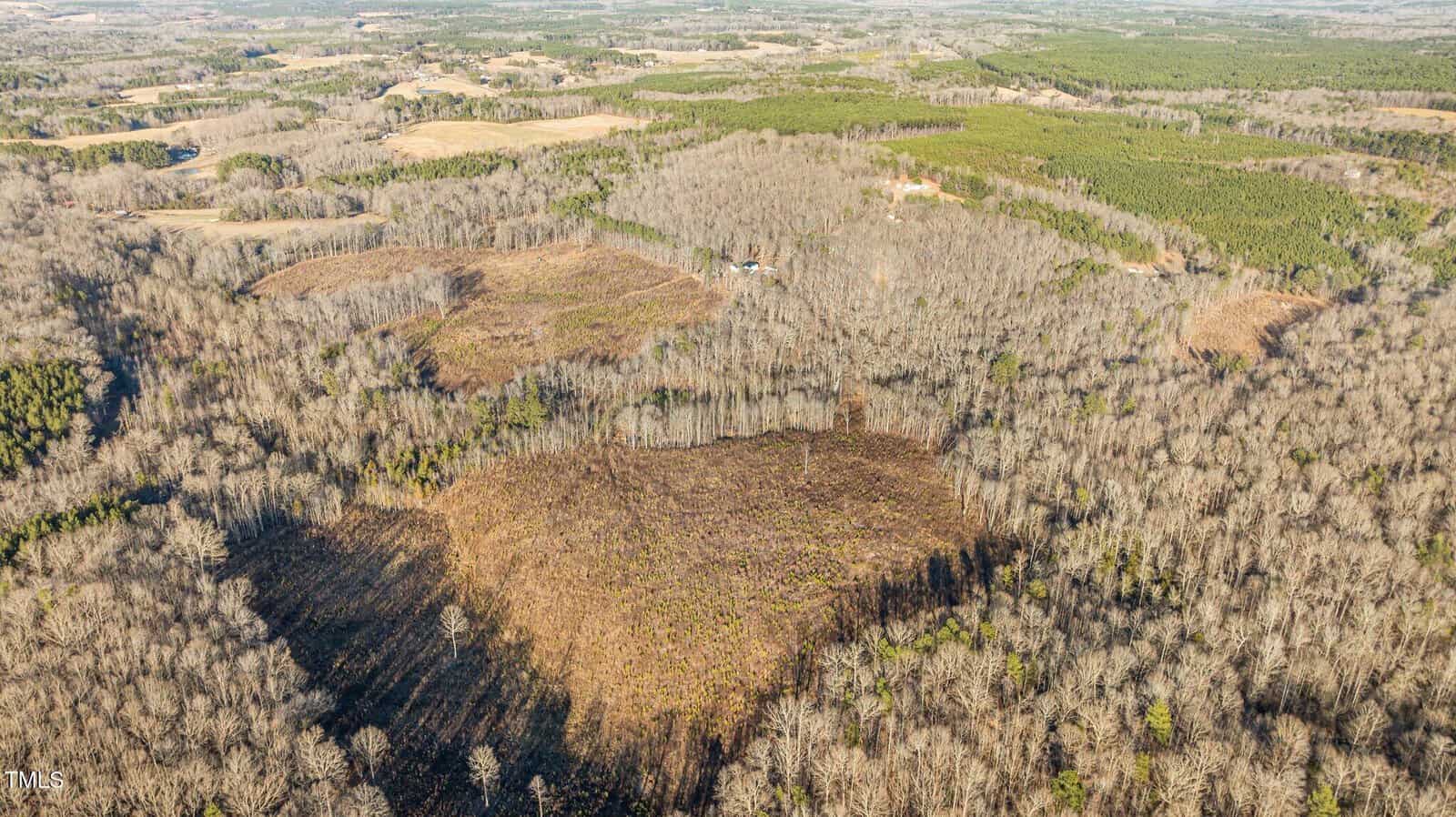 Aerial view of a vast, wooded landscape with varying patches of leafless trees and green areas. The terrain appears hilly, and a small structure is visible near the center. The horizon extends into more wooded and open land.