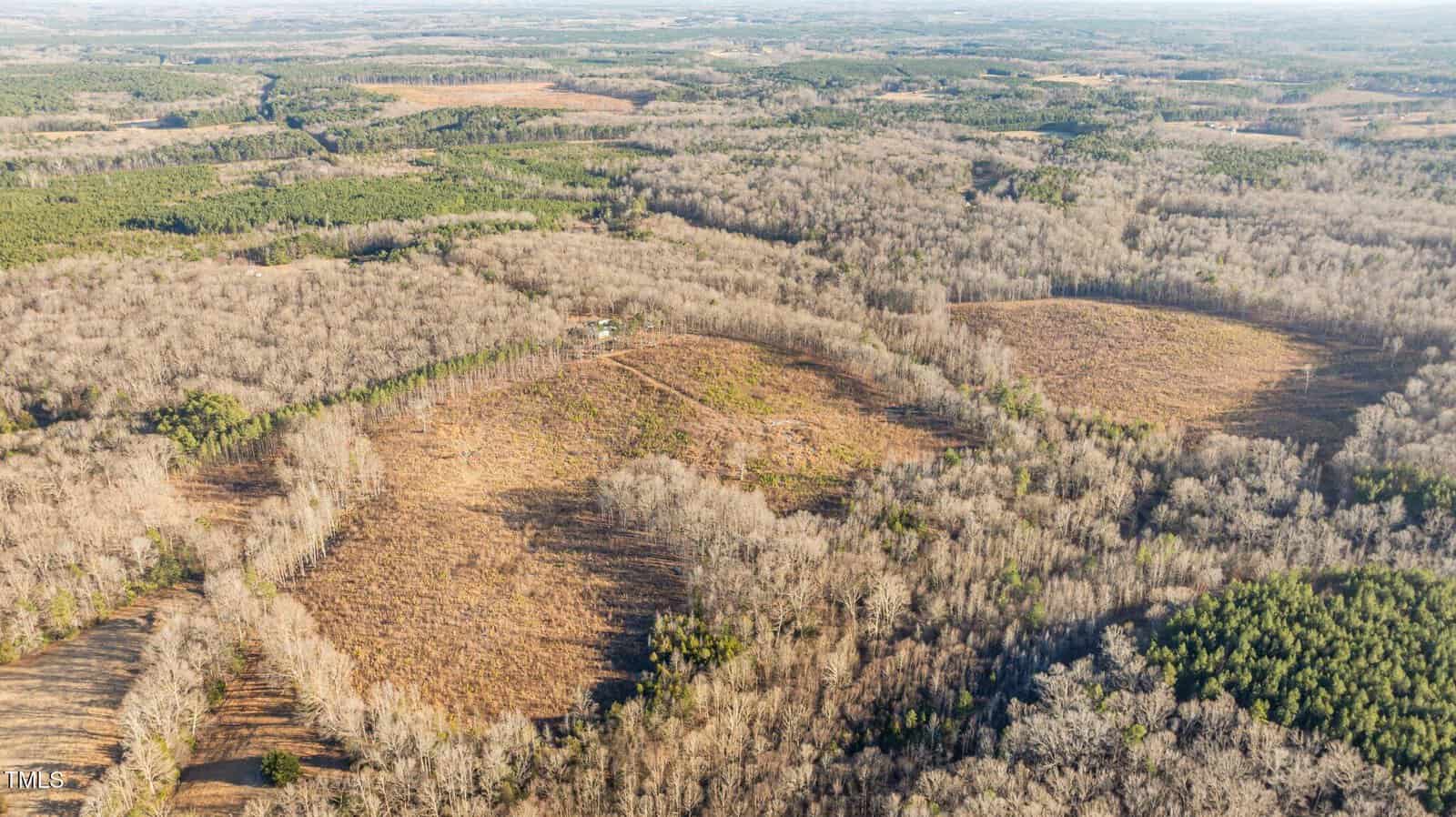Aerial view of a large, forested landscape with a mix of dense trees and open clearings. Sparse patches of dried vegetation are visible among the wooded areas. The terrain is slightly rolling, and a few pathways are seen winding through the landscape.