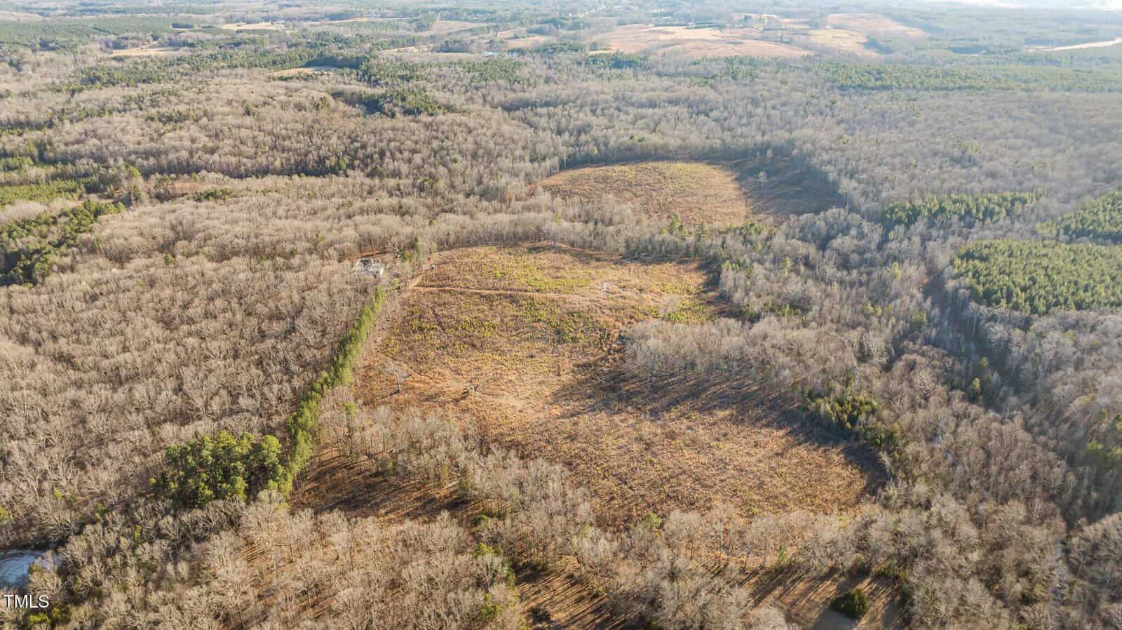 Aerial view of a vast landscape with sections of forested and deforested areas. The terrain is mostly flat with patches of trees and open land. There are some hills and distant fields under a clear sky.