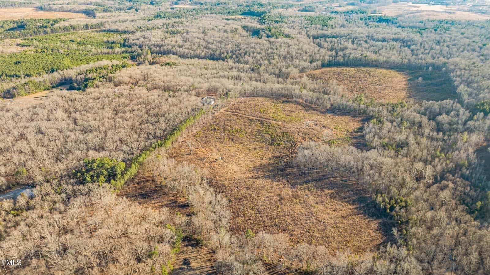 Aerial view of a large wooded landscape with bare trees, interspersed by patches of cleared land. There are several small hills, and the scene is bathed in natural light. Sparse greenery is visible in certain areas.