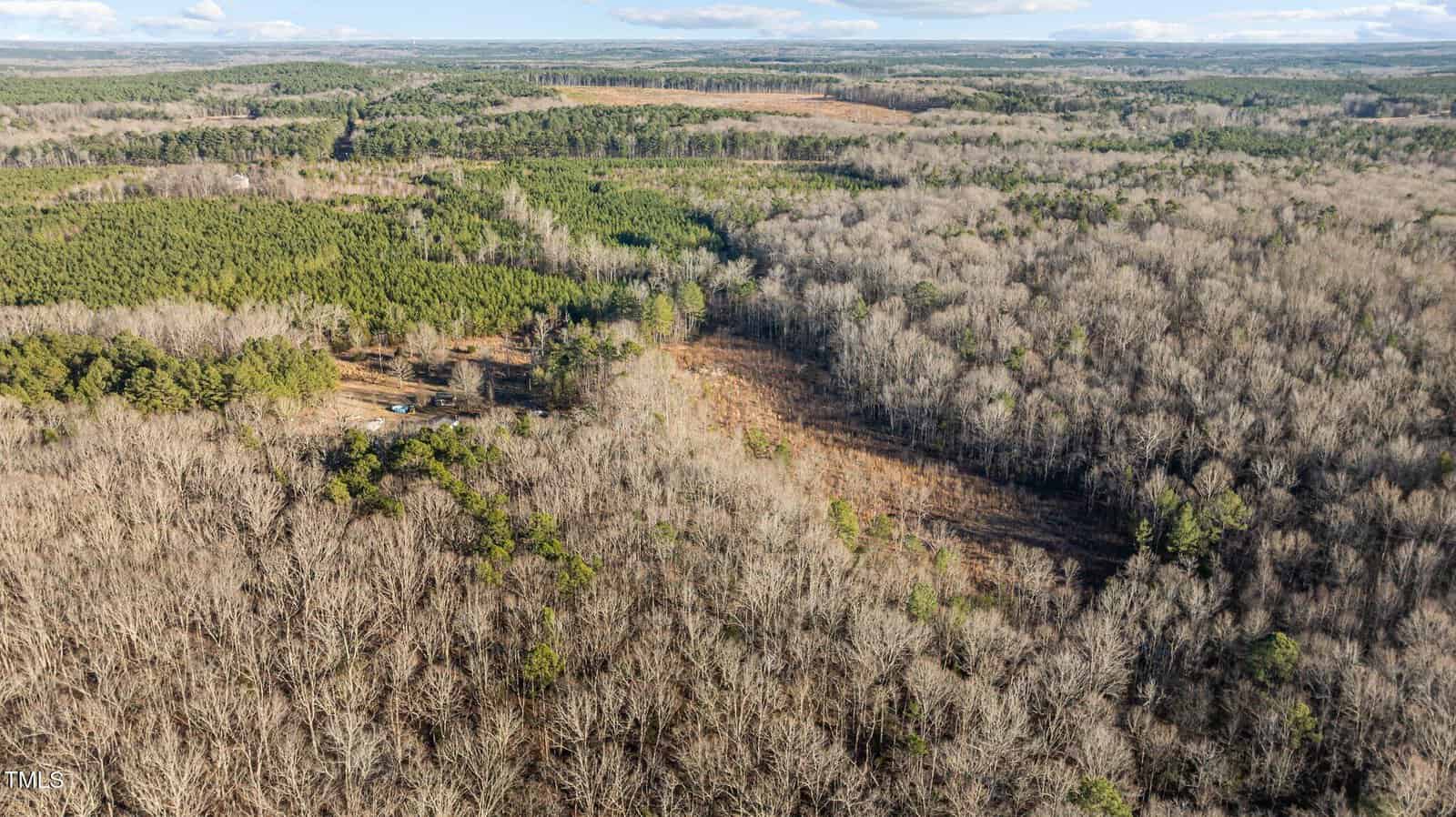Aerial view of a landscape with a mix of dense evergreen and deciduous forests, and an open clearing in the foreground. There are visible patches of green trees among leafless trees in winter. A small structure is seen near the clearing.