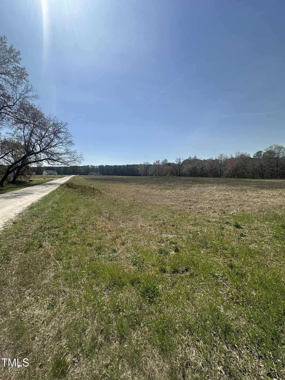 A wide, grassy field stretches alongside a dirt road under a clear blue sky, bordered by trees in the background. The sun is bright, casting shadows on the ground.