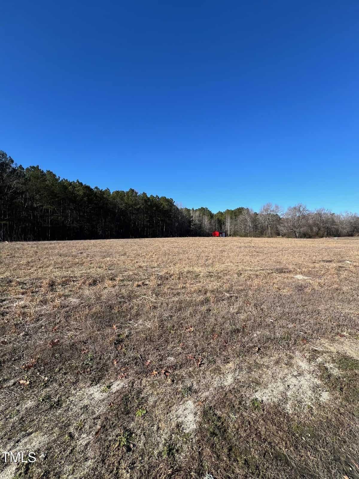 A wide, open field with dry grass under a clear blue sky, bordered by a line of trees in the background. A small red structure is visible near the tree line.