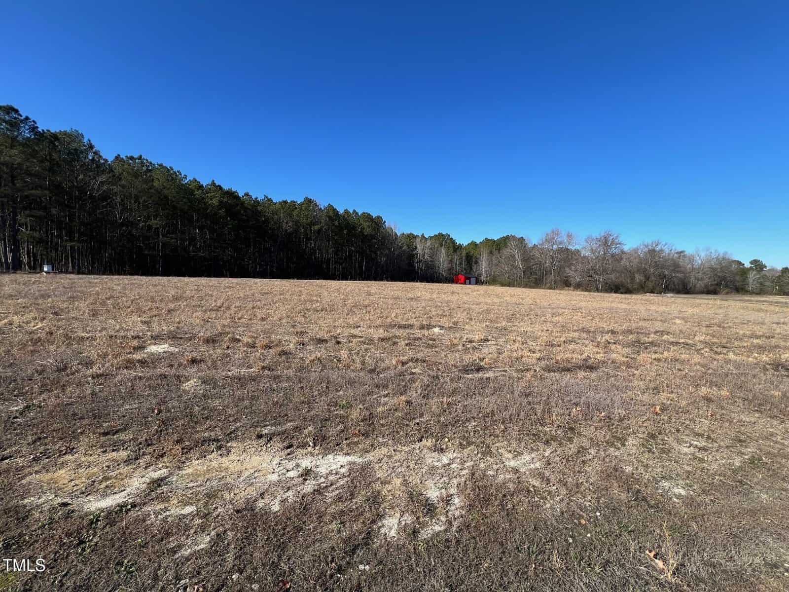 A wide, open field with dry grass under a clear blue sky. A forested area borders the field in the background, and a small red structure is visible in the distance near the trees.