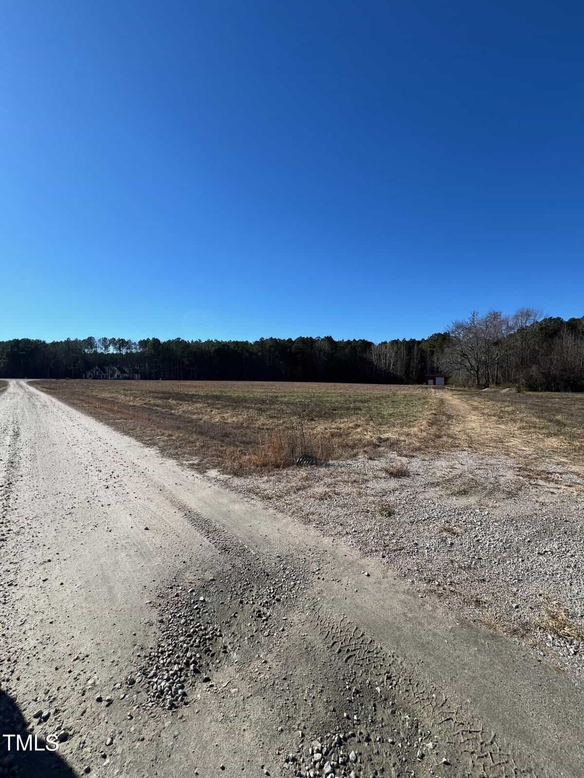 A dirt road runs alongside an open, grassy field with a small wooded area in the background under a clear blue sky.