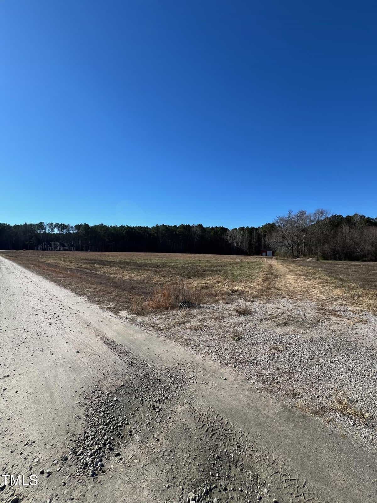 A gravel road runs beside an open, grassy field under a clear blue sky, with a line of trees in the background.