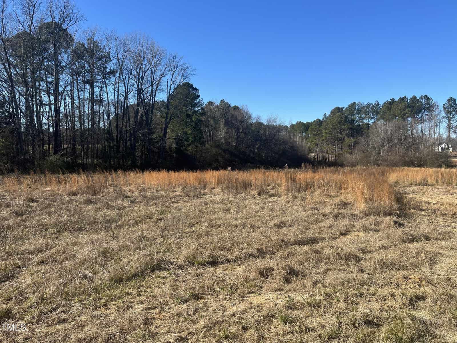 An open field with dry grass and patches of taller, brown vegetation under a clear blue sky. Trees border the field in the background, with dense woods visible on the left and right sides.