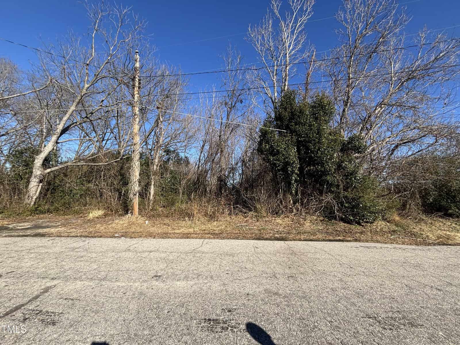 A paved road runs parallel to a stretch of bare trees and dense shrubs under a clear blue sky along Old Norlina Road in Henderson. Power lines are visible above the vegetation, while the foreground captures the shadow of a street sign on the asphalt.