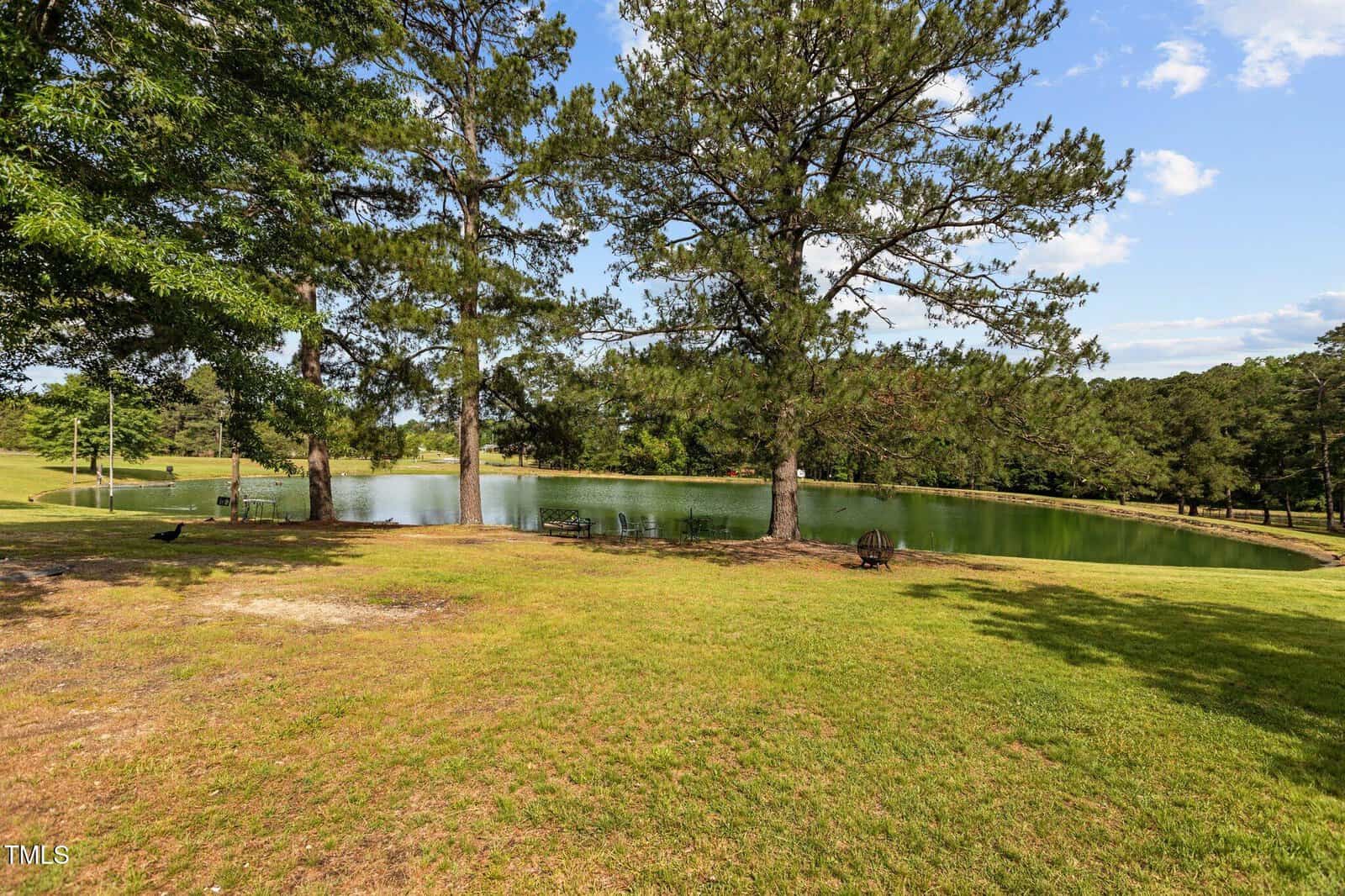 Grassy lawn with tall pine trees next to a calm pond under a blue sky with clouds. A few chairs sit near the pond, and a single bird is visible on the grass.