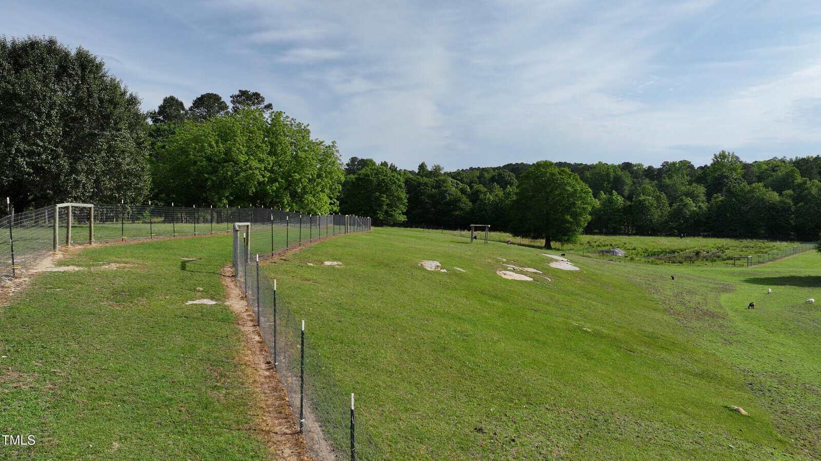 A fenced grassy area on a gentle slope with scattered trees and rocks, bordered by more trees in the background under a partly cloudy sky.
