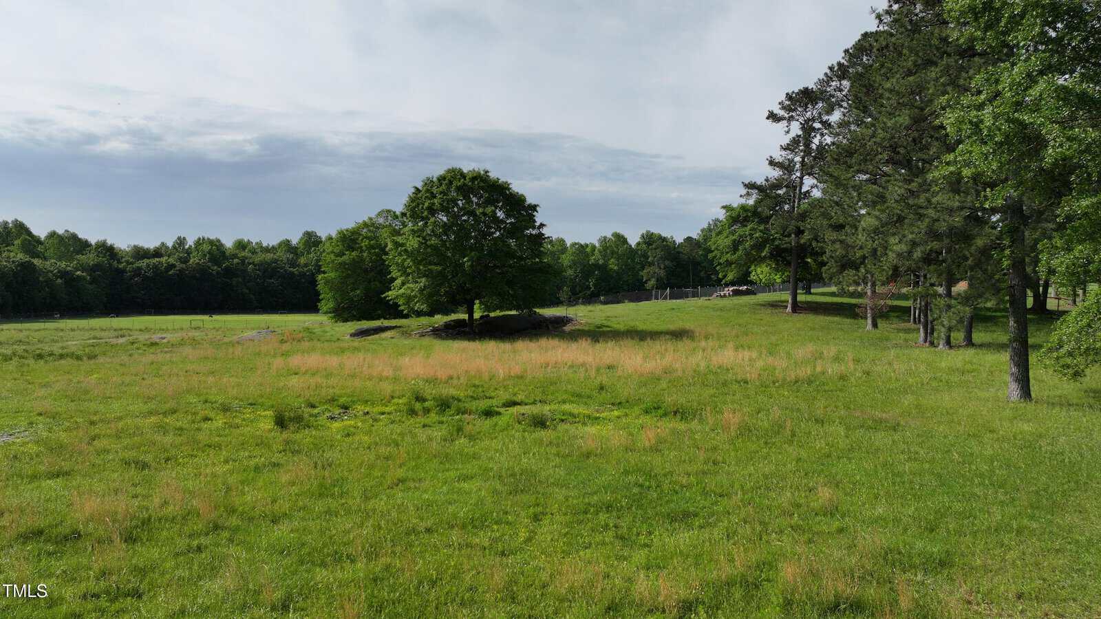 A large grassy field with a single tree in the center, surrounded by more trees and a lightly cloudy sky in the background.