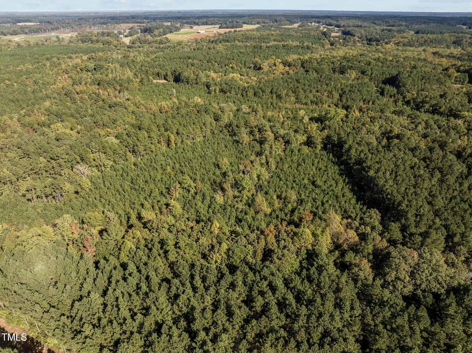 Aerial view of a dense, green forest landscape with a variety of trees. In the distance, patches of cleared land and fields are visible. The sky is mostly clear with a few clouds.