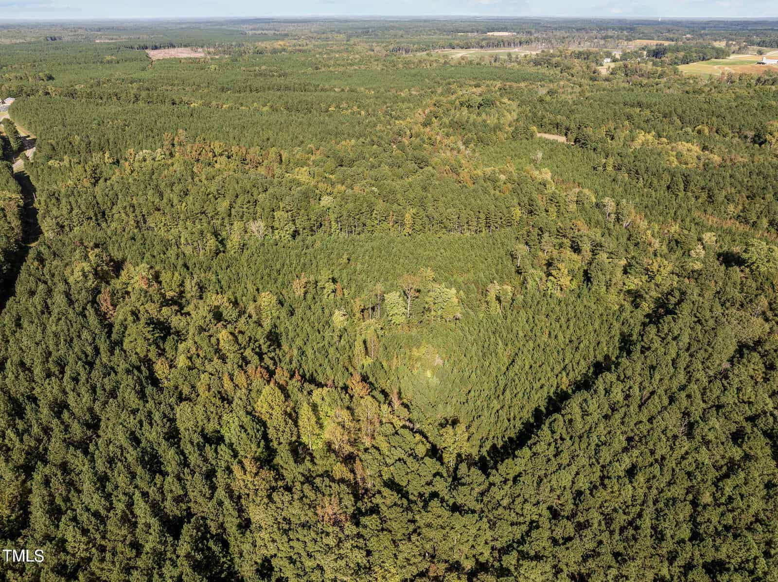 Aerial view of a dense forest with a small, clear, heart-shaped area of trees in the center. The landscape extends to the horizon, showing a mix of green hues and patches of lighter land in the distance under a blue sky.