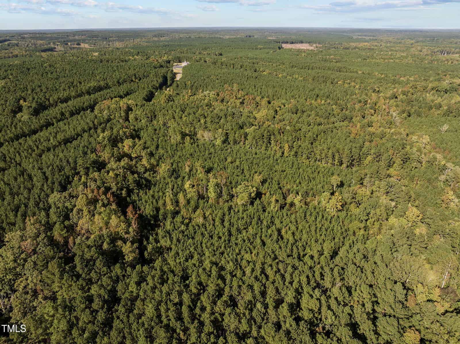 Aerial view of a vast, dense forest with a winding road cutting through the trees. The landscape features a mix of evergreen and deciduous trees stretching into the distance under a partly cloudy sky.