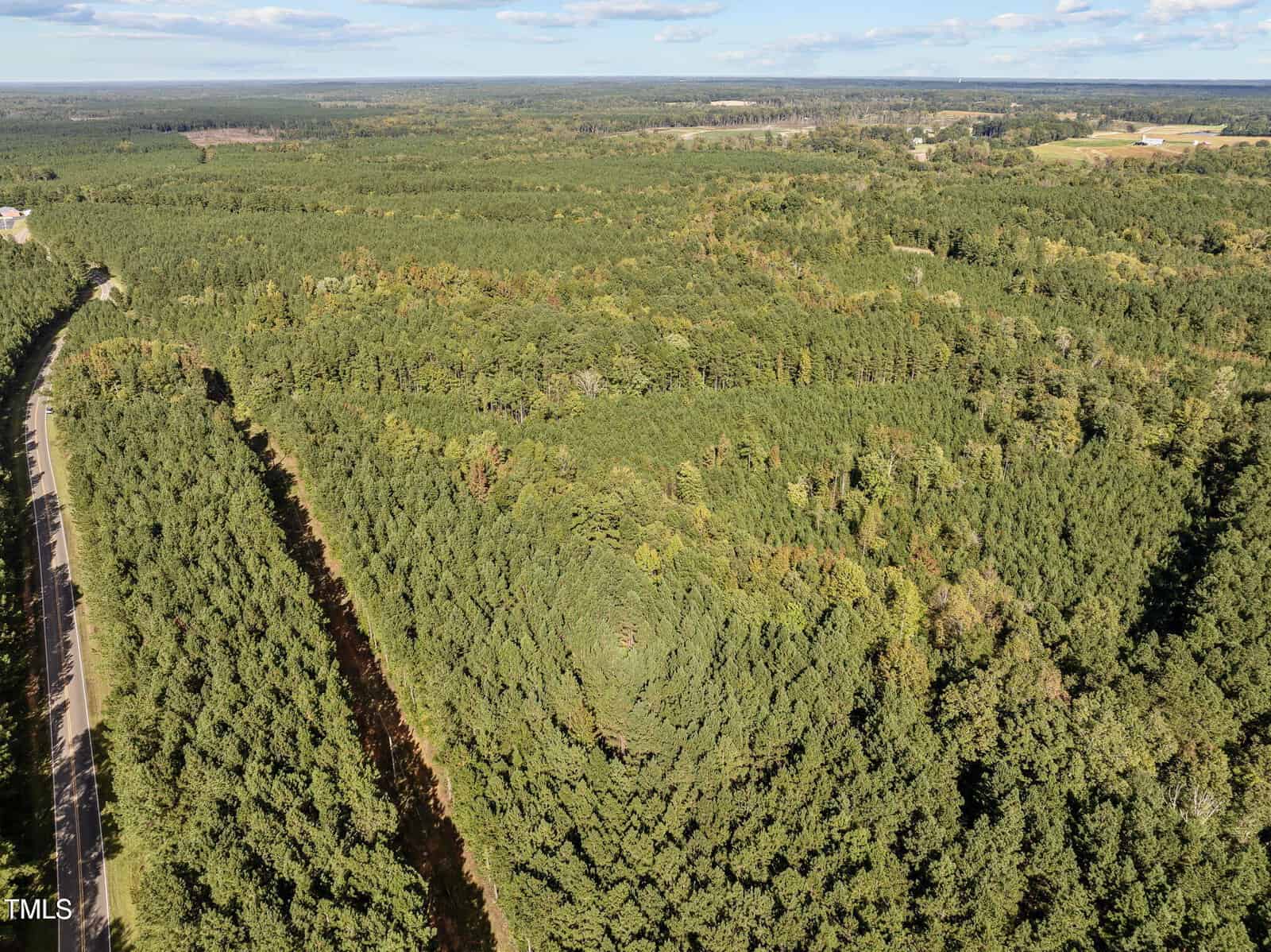 Aerial view of a vast forested area with dense green trees. A spiral pattern is visible in the center of the forest. A road runs along the left side of the image, bordered by trees on both sides. The sky is mostly clear with some clouds.