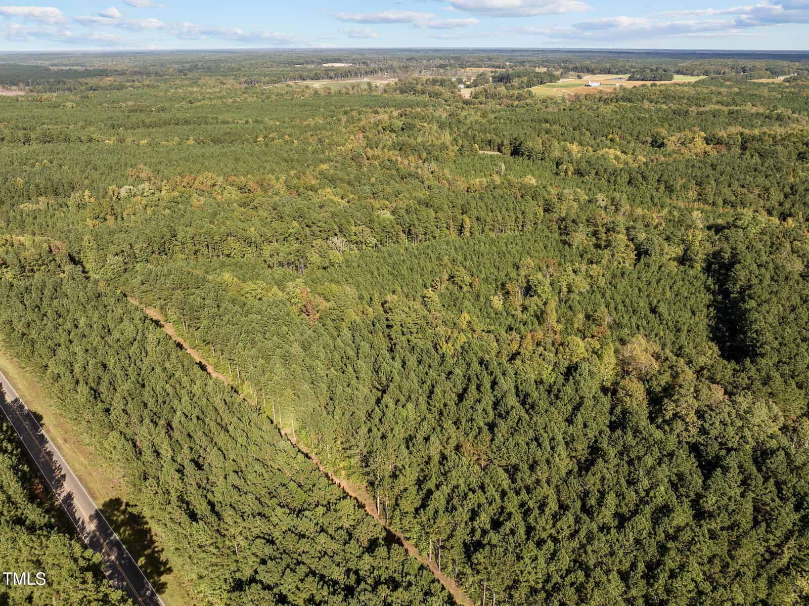 Aerial view of a dense forest with rows of trees and a road running along the left side. The landscape includes a mix of greenery and open fields in the background under a blue sky with scattered clouds.