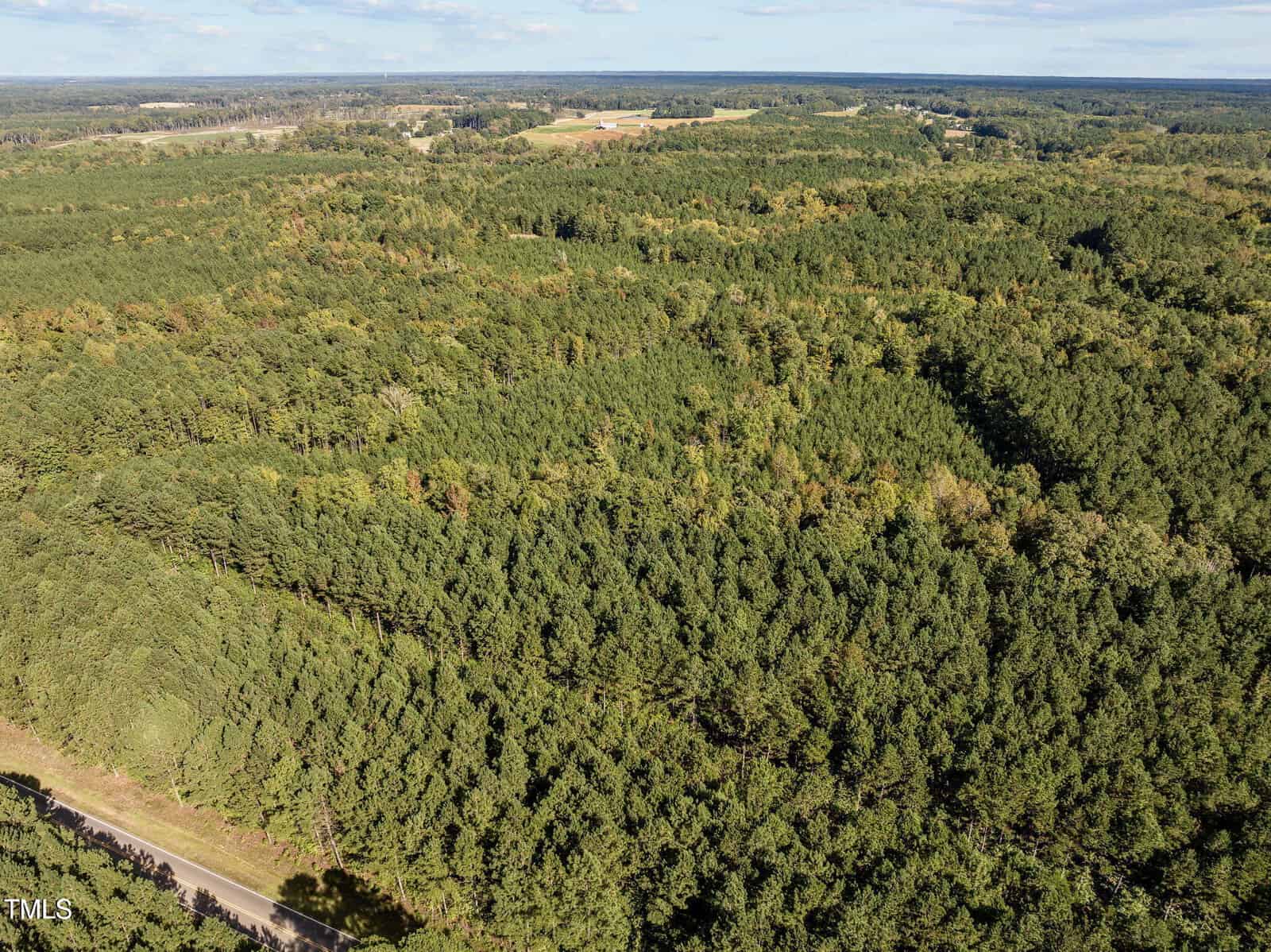 Aerial view of a vast forest with dense green trees under a clear blue sky. A road cuts through the bottom of the frame, while patches of open land are visible in the distance. The landscape is mostly covered with lush vegetation.