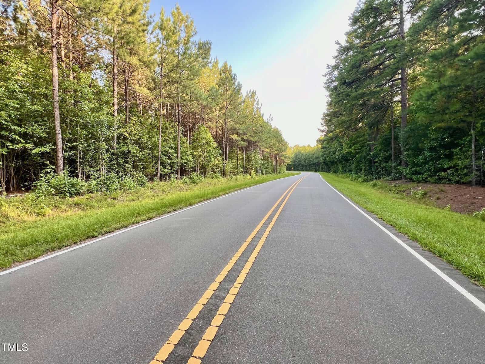 A two-lane road bordered by lush green trees stretches into the distance under a clear sky. The scene is peaceful with a well-maintained asphalt surface and painted yellow lines in the center. Dense forest lines both sides of the road.