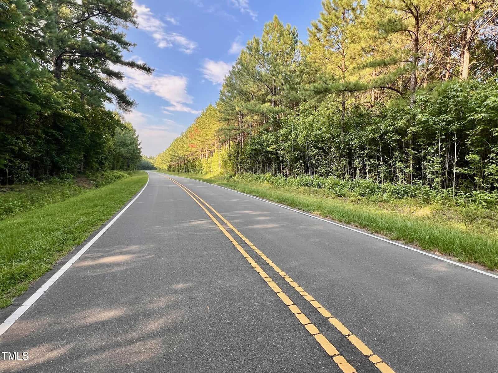 A two-lane road with yellow dividing lines stretches into the distance, bordered by dense green trees on both sides. The sky above is partly cloudy with patches of blue visible.