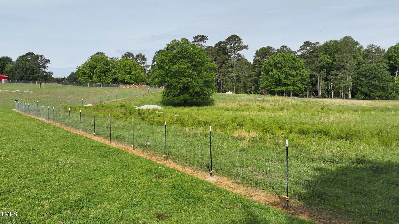 A fenced grassy field with trees in the background under a clear sky. The fence runs diagonally across the image, separating short grass on the left from taller grass on the right.