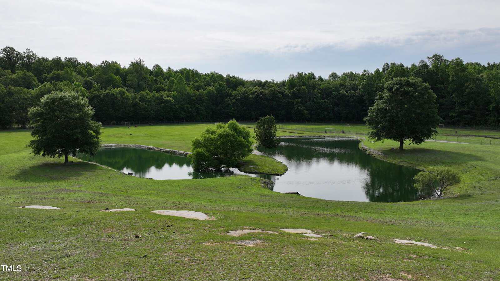 A grassy landscape with a small pond bordered by three trees, open green fields, and a dense tree line in the background under a partly cloudy sky. Some rocks are visible in the foreground.