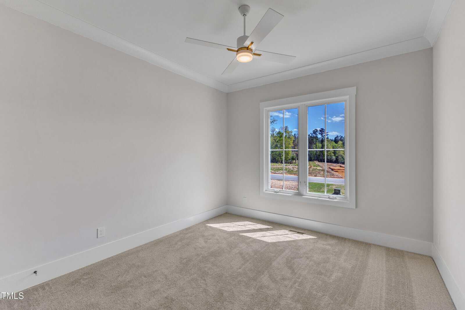 Empty room with beige carpet, white walls, a ceiling fan with light, crown molding, and a double window showing a view of trees and blue sky. Sunlight casts a shadow on the floor.