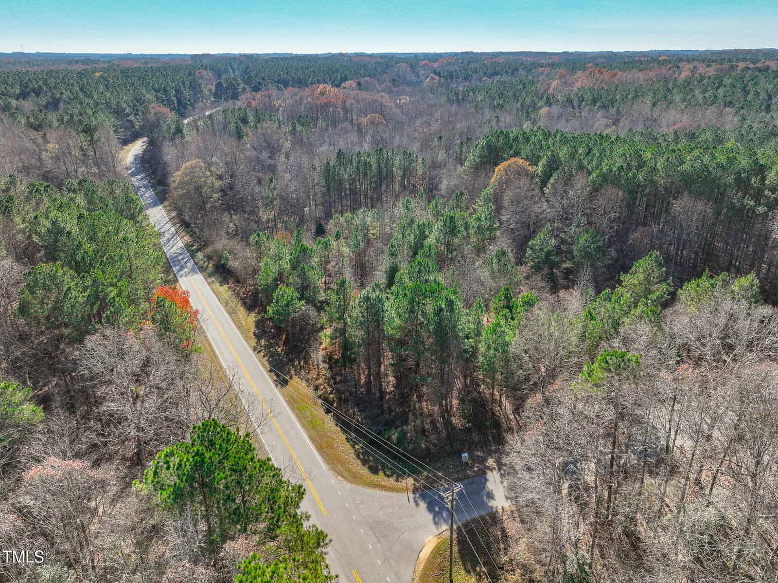 A paved two-lane road runs through a densely wooded area with a mix of evergreen and leafless trees under a clear sky. Power lines follow the road, and the landscape stretches out to the distant horizon.