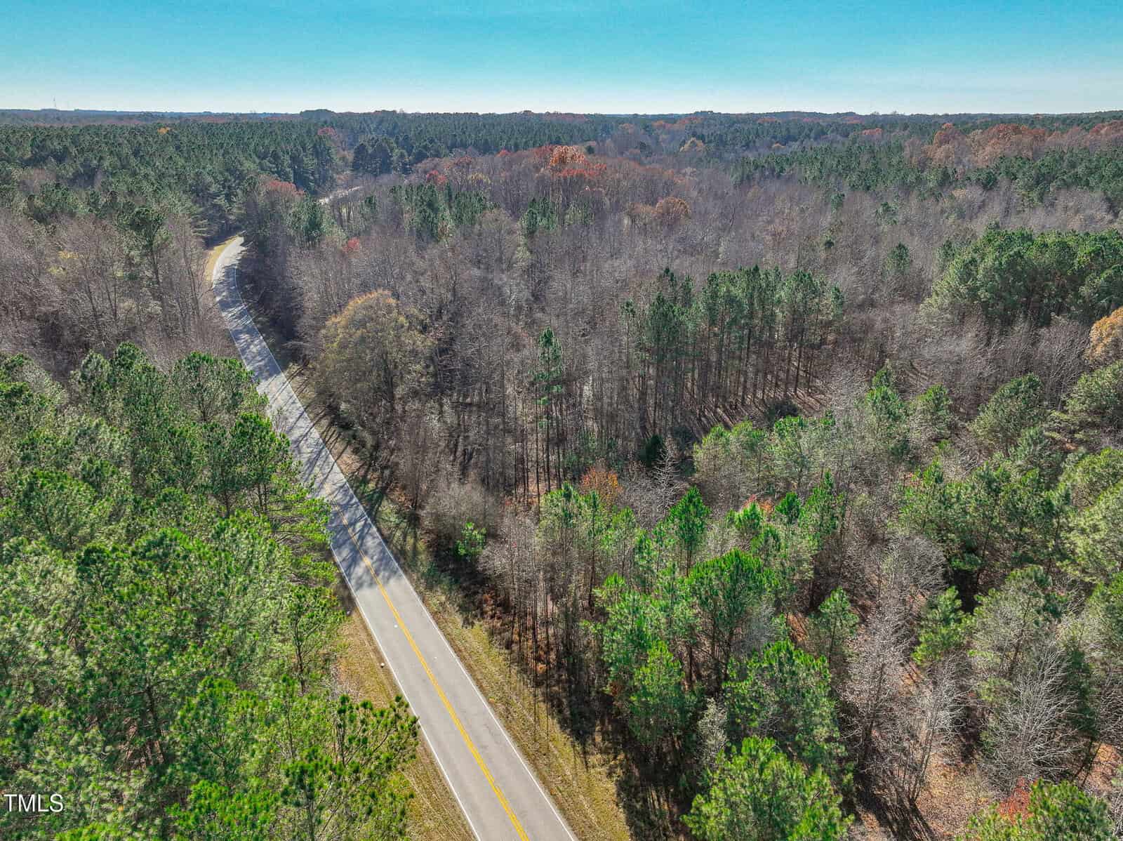An aerial view of a two-lane road curving through a wooded area with a mix of evergreen and leafless trees, under a clear blue sky. The forest extends into the distance.