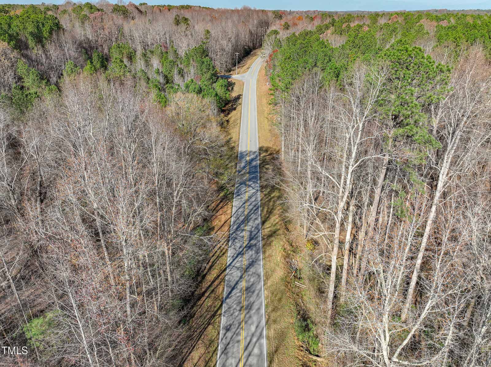 Aerial view of a straight, narrow road running through a forested area with both leafless and evergreen trees on either side under a clear sky.