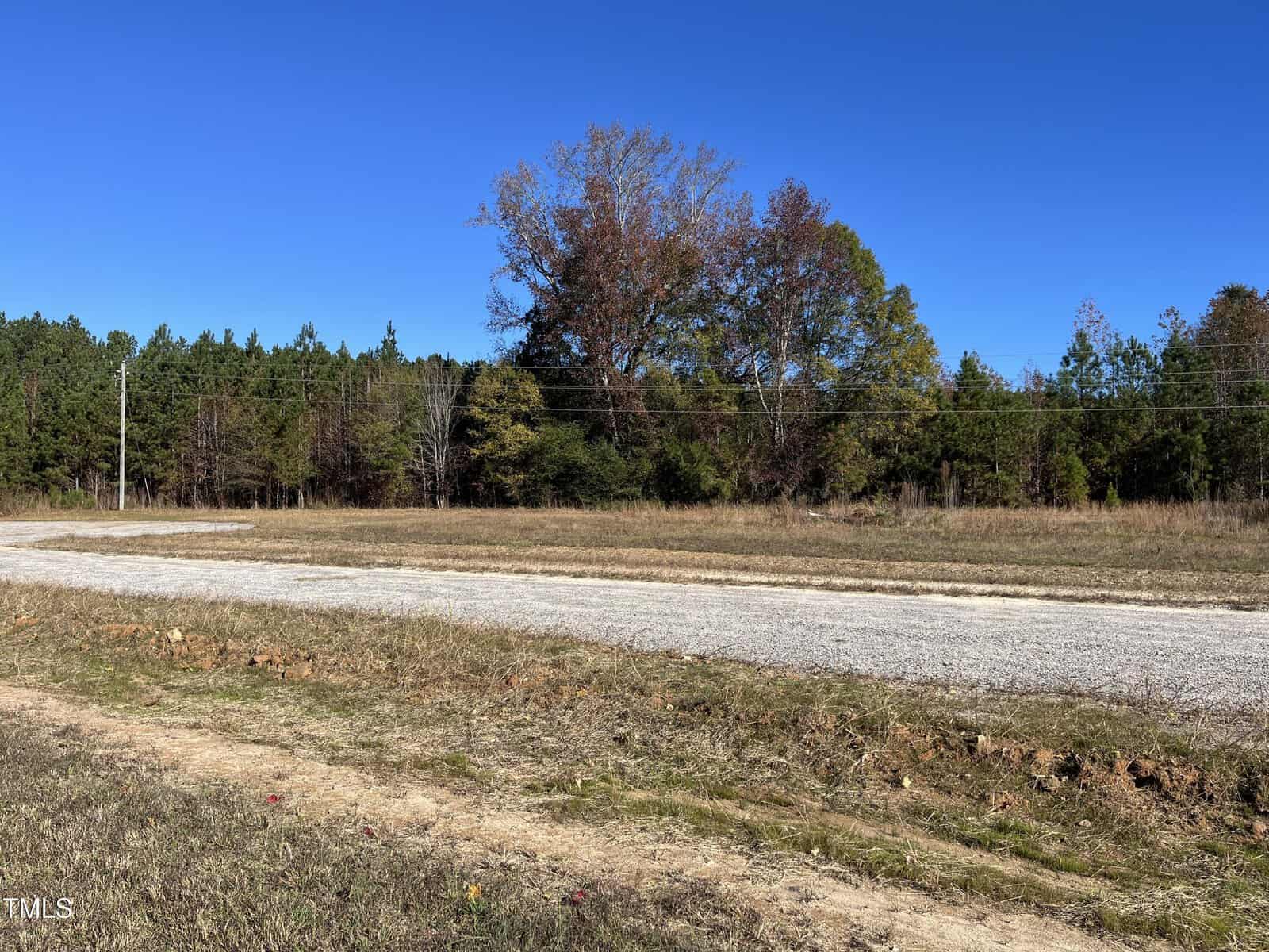 A gravel road runs through a grassy, open area with scattered patches of dirt. In the background, there are trees with green and brown leaves under a clear blue sky. Power lines cross above the road.