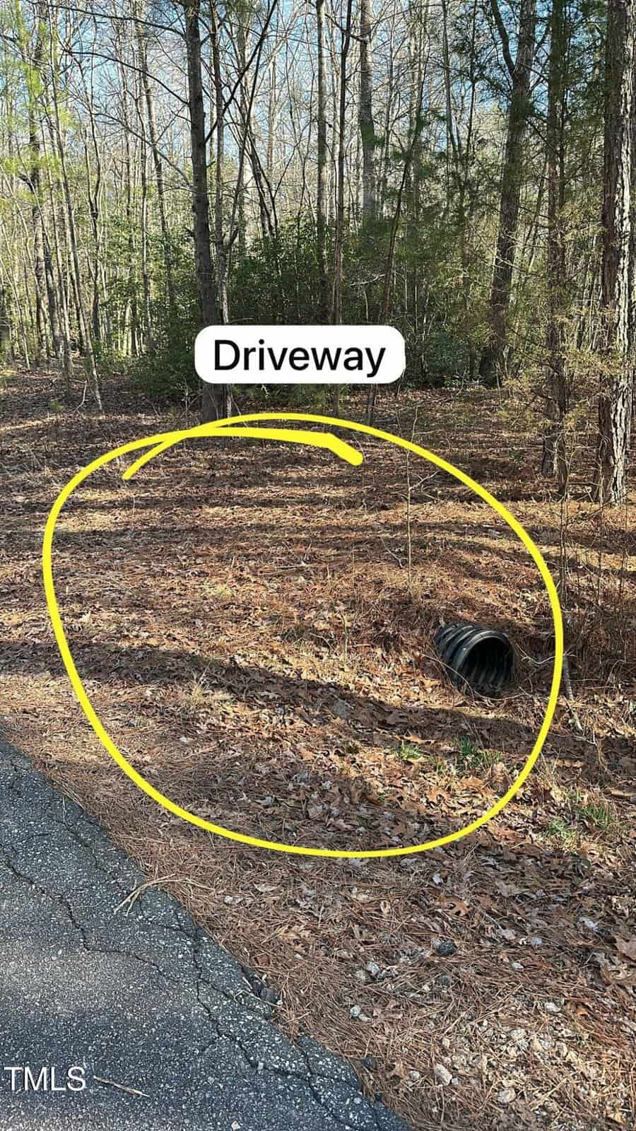 A wooded area with a yellow circle highlighting a patch of ground labeled “Driveway.” A black drainage pipe is visible on the right side, near the trees.