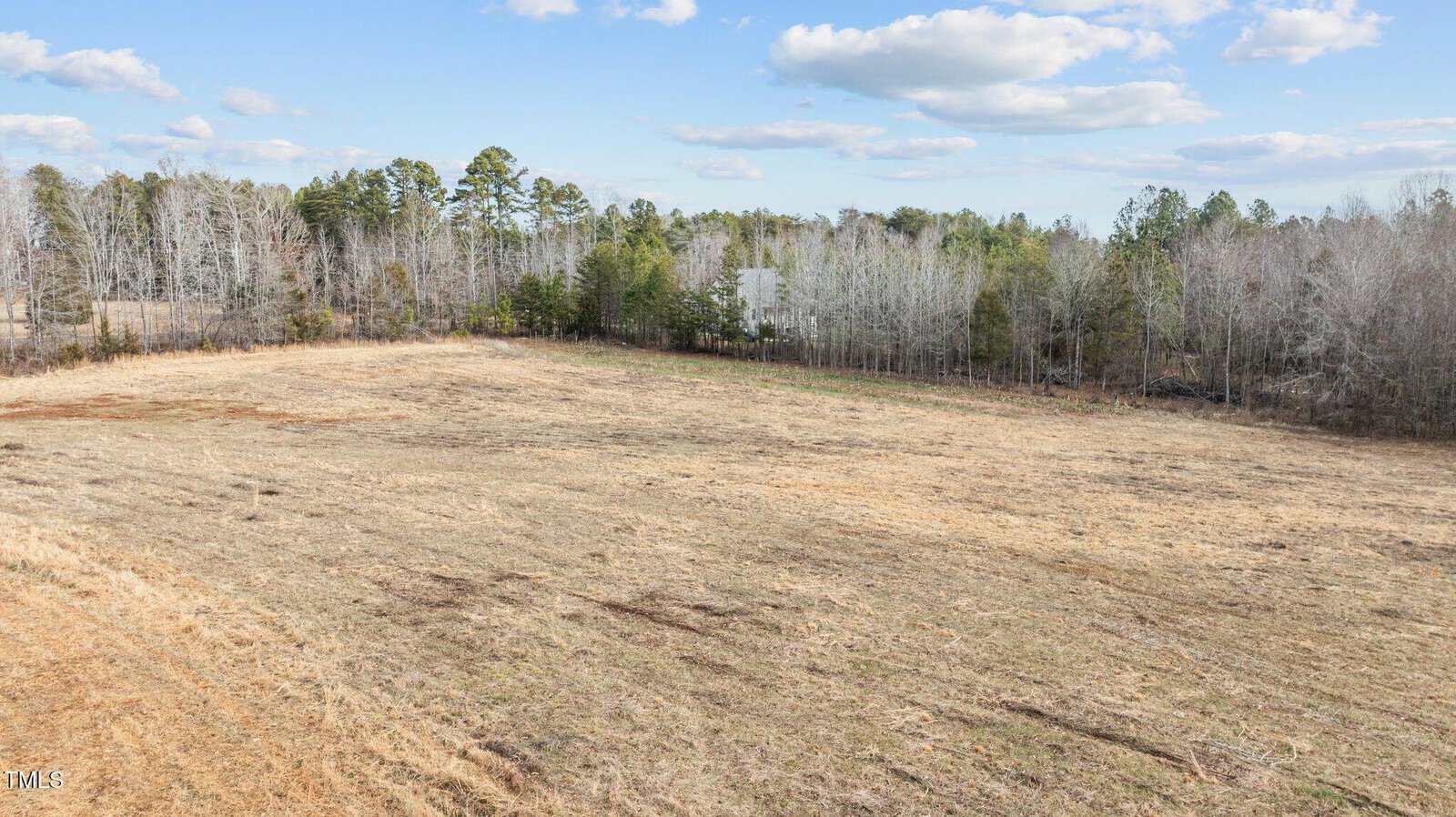 Open field with dry grass and a tree line in the background under a partly cloudy sky.