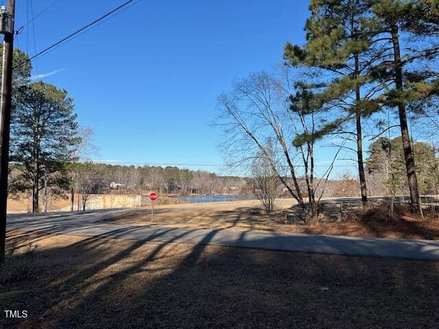 A paved road with a stop sign runs alongside a wooded area with pine trees, leading to a lake in the distance under a clear blue sky. Shadows from trees fall across the road and ground.